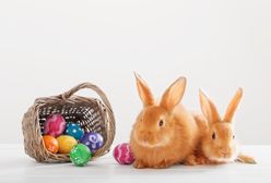 Wielkanoc 2019 – zabawne oraz tradycyjne życzenia wielkanocne. Wierszyki z okazji Świąt Wielkanocnych