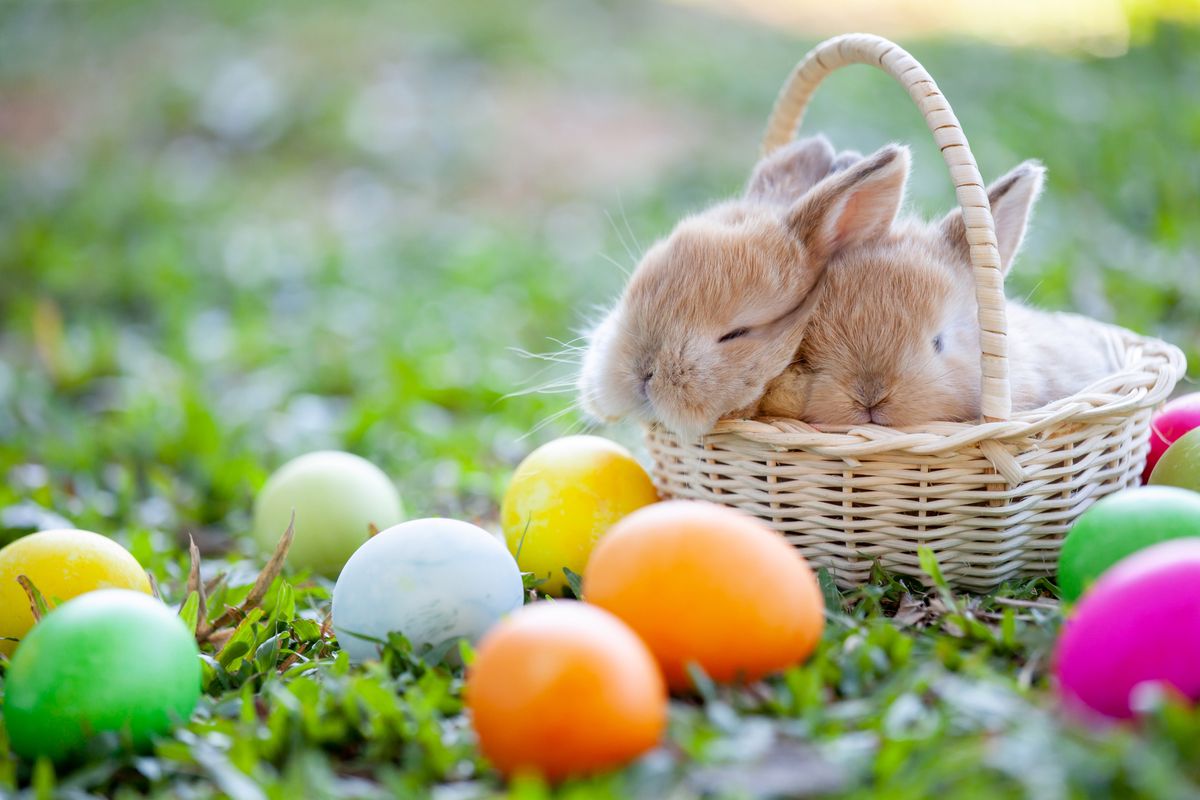 Wielki Czwartek – 18 kwietnia 2019. Sprawdź, jakie święto obchodzimy 3 dni przed Wielkanocą