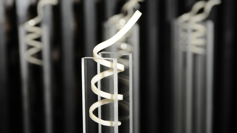 Węże 2019 – nominacje. Wybrano najgorsze polskie filmy 2018 roku. Sprawdź, kto ma szansę zdobyć nagrodę 