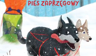 Pies na medal. Apa – pies zaprzęgowy