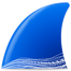 Wireshark icon