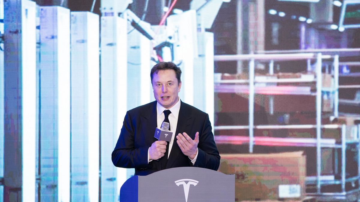 Po zaledwie 2 dniach prac, wycinka drzew pod Gigafactory została wstrzymana