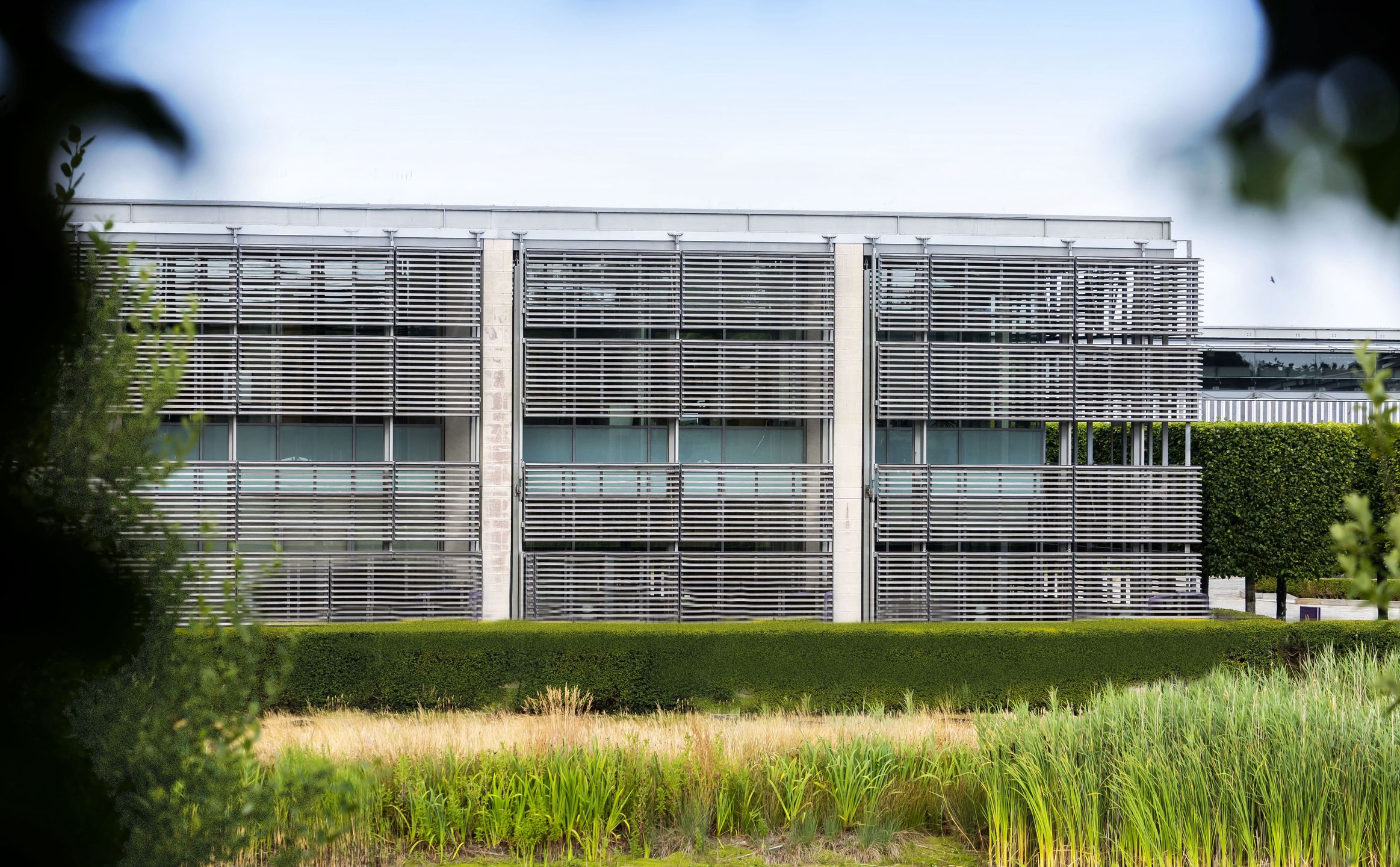 Fabryka Rolls-Royce'a w Goodwood