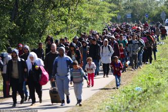 Kryzys migracyjny. Szwecja potrzebuje imigrantów by utrzymać wzrost