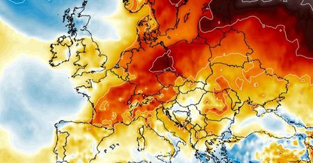 Kiedy przyjdzie prawdziwa zima? Meteorolodzy zaskoczeni, nawet w styczniu może ominąć Polskę