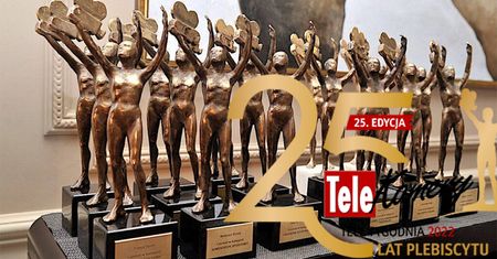 TeleKamery 2022. Jest już NOWA DATA wręczenia statuetek! Gdzie transmisja i kto poprowadzi galę?
