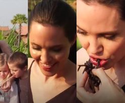 Angelina Jolie razem z dziećmi jedzą skorpiony i pająki... (FOTO)