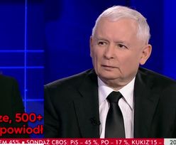 Jarosław Kaczyński w TVP Info: "To ja wymyśliłem "500+". Dobrze liczę w pamięci!"