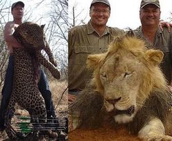 Dentysta z USA zabił najsłynniejszego lwa w Zimbabwe! Zapłacił 55 tysięcy dolarów...