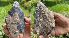 Starożytny topór z Etiopii. Wielkie odkrycie narzędzia przodka człowieka sprzed 1,4 mln lat