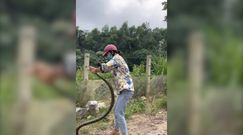 Złapała węża gołymi rękami. Przerażające nagranie z Wietnamu