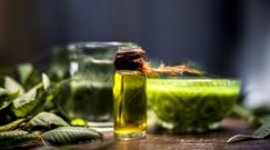 Pielęgnacja roślin doniczkowych olejkiem neem. Spektakularne efekty