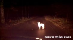 Wilk kontra polska policja