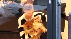 Karolina Pisarek bawi się z psami u fryzjera