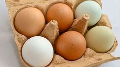 Jaja od kur z wolnego wybiegu mogą zawierać rakotwórcze dioksyny