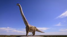 Skamielina dinozaura z Argentyny. Niesamowite odkrycie, które zaskakuje