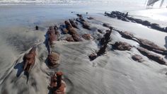 Statek pod piaskiem. Erozja odsłoniła 200-letni wrak