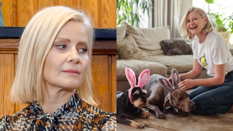 Internauci krytykują Małgorzatę Kożuchowską za przebieranie psów: "Nie wyglądają na szczęśliwe. PIES NIE ZABAWKA"
