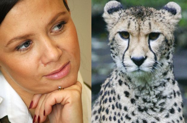 Kinga Rusin broni okładki z gepardem: "SAM DO MNIE PODSZEDŁ"