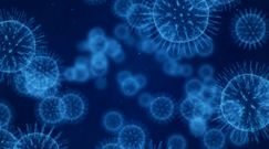 Eksperci ostrzegają przed "bliźniaczą pandemią". Liczba zachorowań na grypę i COVID-19 może gwałtownie wzrosnąć