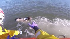 Pies utknął na morzu. Chciał przegonić mewy, porwał go prąd