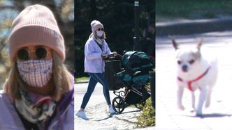 Zamaskowana Martyna Gliwińska spaceruje z psim przyjacielem i wózkiem za 8 tysięcy złotych (ZDJĘCIA)