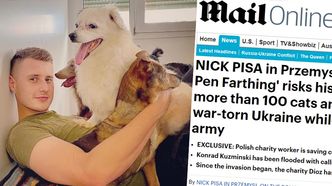 "Daily Mail" napisał o Polaku, który RATUJE porzucone PSY i KOTY w Ukrainie. "Zabieramy każde napotkane zwierzę"