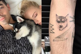 Joe Jonas i Sophie Turner stracili psa. Para upamiętniła zmarłego pupila tatuażami (FOTO)