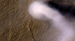 Wir pyłowy na Marsie. Sonda NASA zarejestrowała przezroczystego "diabła pyłowego"