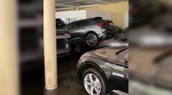 Dramatyczne skutki powodzi w Niemczech. Wnętrze luksusowego salonu samochodowego
