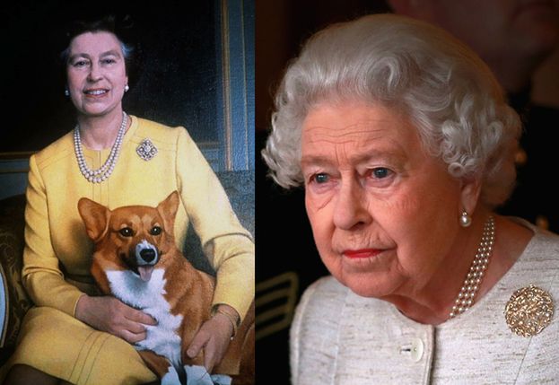 Nie żyje ostatni pies corgi Elżbiety II. "Królowa jest ZDRUZGOTANA"