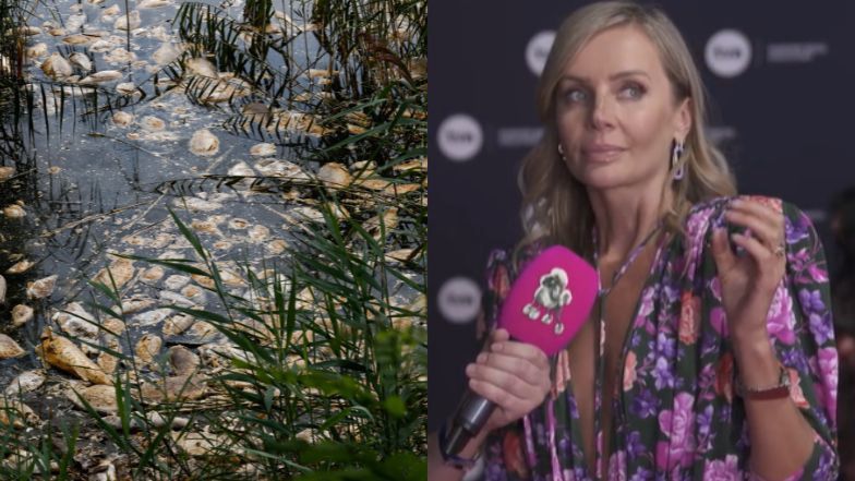 Agnieszka Woźniak-Starak on the ecological catastrophe on the Oder: “I truthfully believe that that the scenario is misplaced” (Online video)