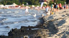 Niepokojące prognozy na wakacje. W Bałtyku szykuje się duży zakwit sinic
