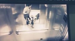 Pitbull zaatakował w windzie. Rzucił się na małego chłopca