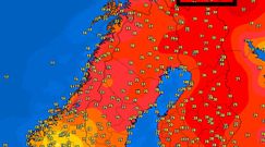 Upały na dalekiej północy Norwegii. "Zawirowania klimatyczne zmieniają nam pogodę"