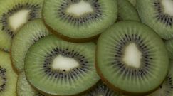 Kiwi – owoc, który warto jeść zimą