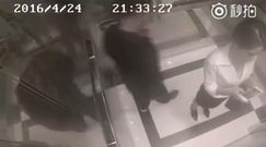 Dziewczyna kickboksera pobiła mężczyznę molestującego ją w windzie