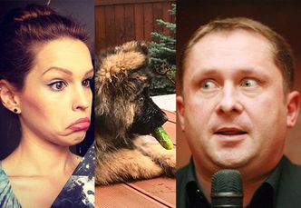 Durczok i Oleś kłócą się na Instagramie o... psa: "Skończ kombinować. KUP SOBIE KOTA!"