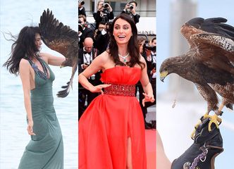 Rumuńska top-modelka WALCZY Z DRAPIEŻNYM PTAKIEM na plażach Cannes!