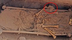 Niezwykła zbroja sprzed 2,5 tys. lat. Bezcenne odkrycie z Asyrii w chińskim grobowcu