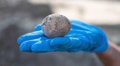 1000-letnie nienaruszone kurze jajo. Sensacyjne odkrycie w Izraelu