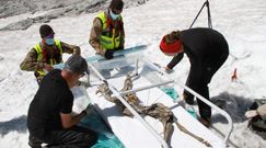Szczątki kozicy sprzed 400 lat. Niezwykłe, przypadkowe odkrycie w Alpach