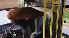 "Napad" na autobus. Kierowca musiał oddać jedzenie