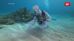 Podwodne polowanie na pisanki w pobliżu Florida Keys