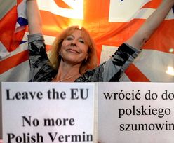 Zwolennicy Brexit do polskich emigrantów: "Wrócić do domu polskie szumowiny"