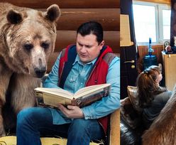 Małżeństwo Rosjan mieszka i je przy stole z... niedźwiedziem. Ma 23 lata i waży 140 kilo!