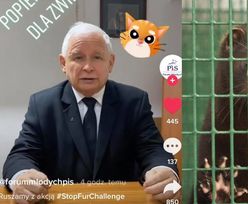 TikToker Jarosław Kaczyński idzie na wojnę z przemysłem futrzarskim! "Musimy temu ZŁU zapobiec!"