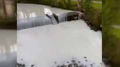 Rzeka mleka w Walii. Świadkowie przypadkowo nagrali niesamowity widok