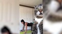 Sesja jogi po kanadyjsku. Zabawne nagranie z kotem