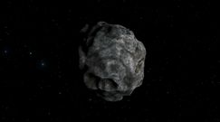 Kosmiczna sensacja. NASA nie zauważyła asteroidy blisko Ziemi